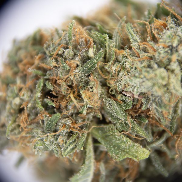 Pink Kush AA - Image 2
