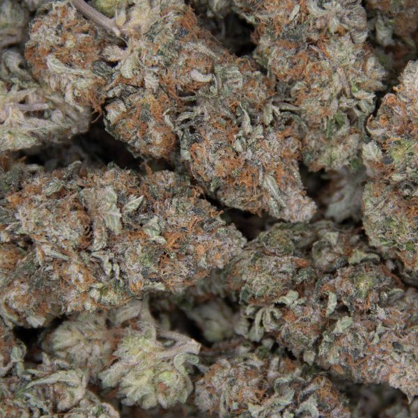 Pink Kush AAA- - Image 2