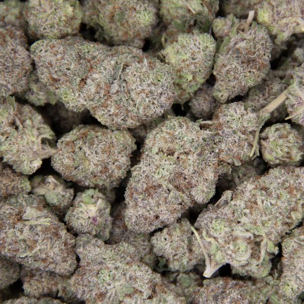 Pink Panther AAA - Image 3