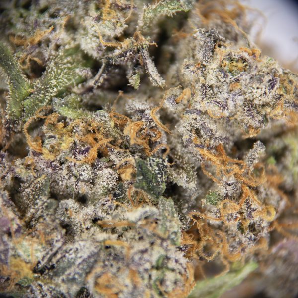Platinum Punch AAAA - Image 2
