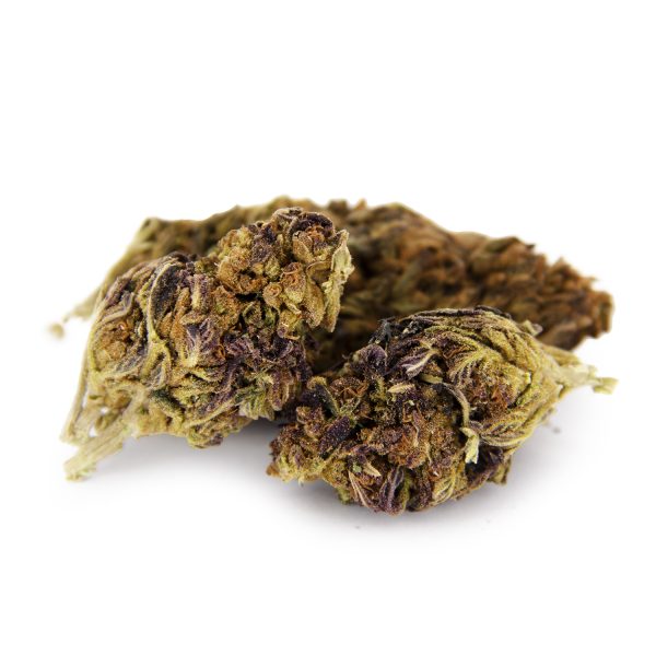 Purple Alien AA