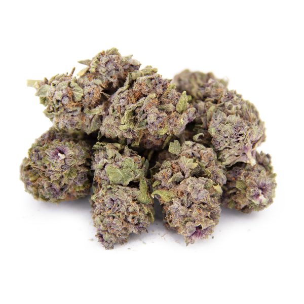 Purple Champagne AA