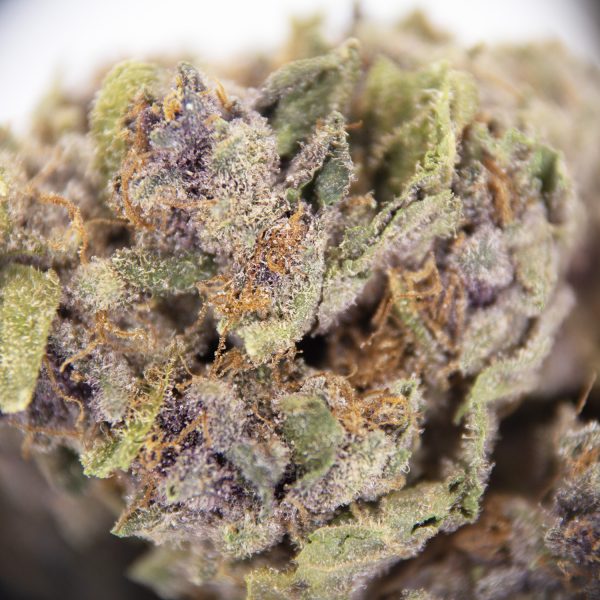 Purple Champagne AA - Image 3
