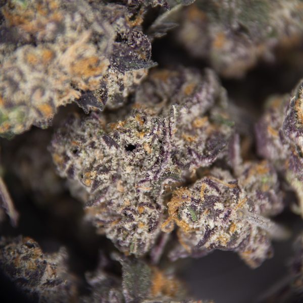 Purple Diesel (popcorn) AAA - Image 2