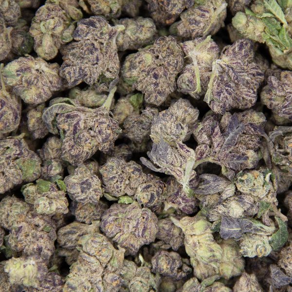 Purple Space Cookies (mediums) AA - Image 3