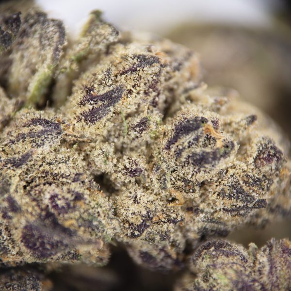 Purple Space Cookies (mediums) AA - Image 2