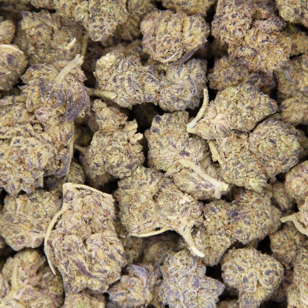 Skywalker (mediums) AAA - Image 3