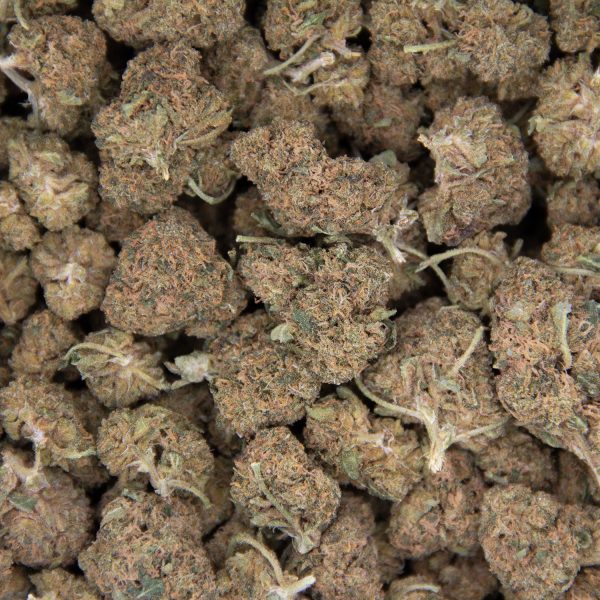 Strawberry Cough (mediums) AA - Image 2