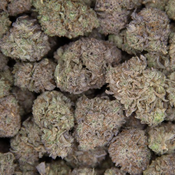 Sundae Punch AAA- - Image 2