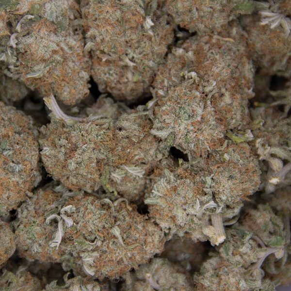 Sunset Sherbert AA+ - Image 2