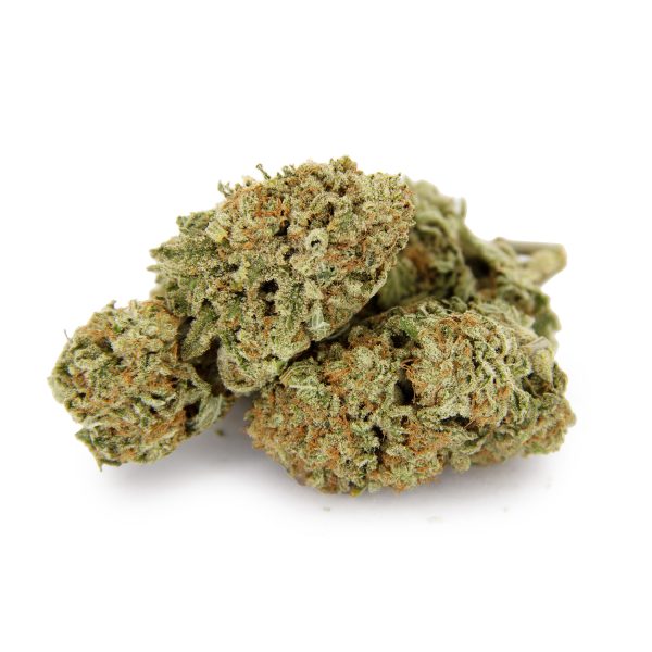 Sunset Sherbet AAA