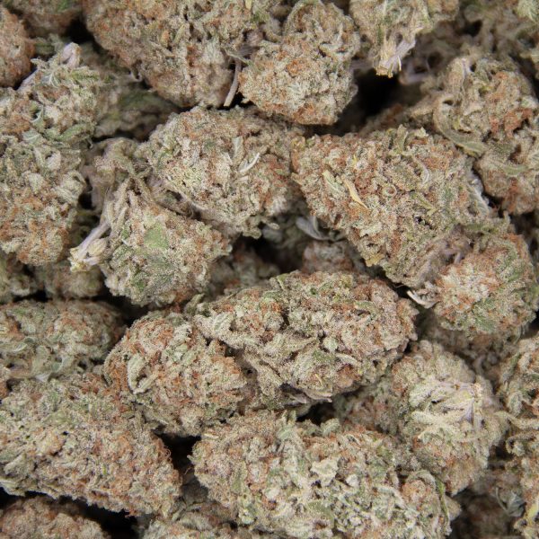 Sunset Sherbet AAA - Image 3