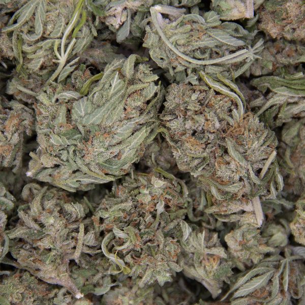 Super Lemon Haze (Mediums) AA- - Image 2