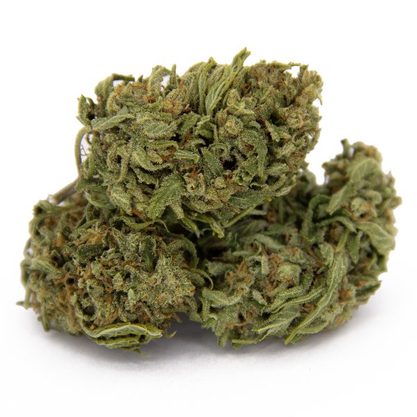 Super Lemon Haze (Mediums) AA-