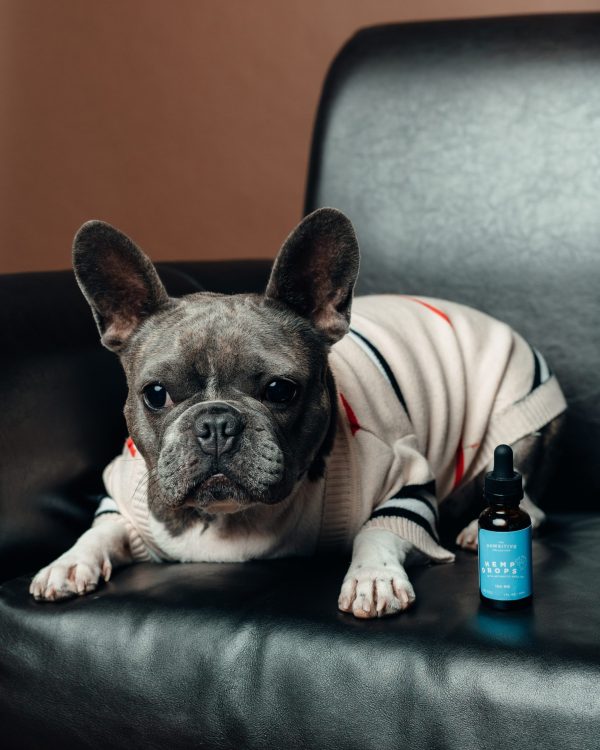 Pawsitive -  Small Dogs 150mg CBD - Image 2