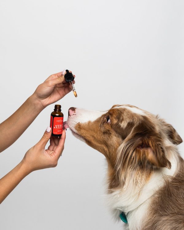 Pawsitive -  X Large Dogs 1200mg CBD - Image 2