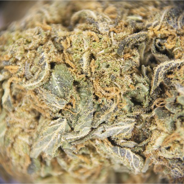 Trainwreck AA - Image 3