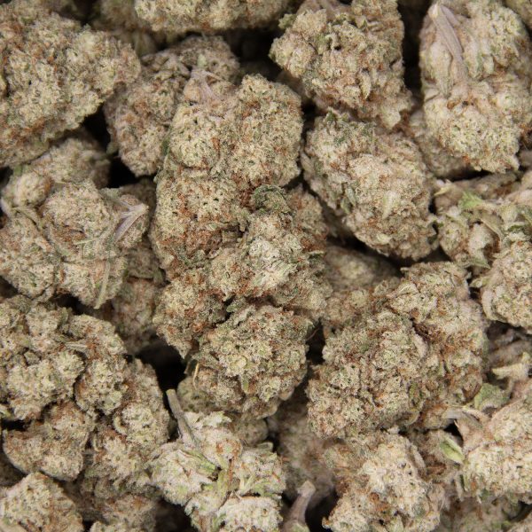 Tutti Frutti AAA - Image 3