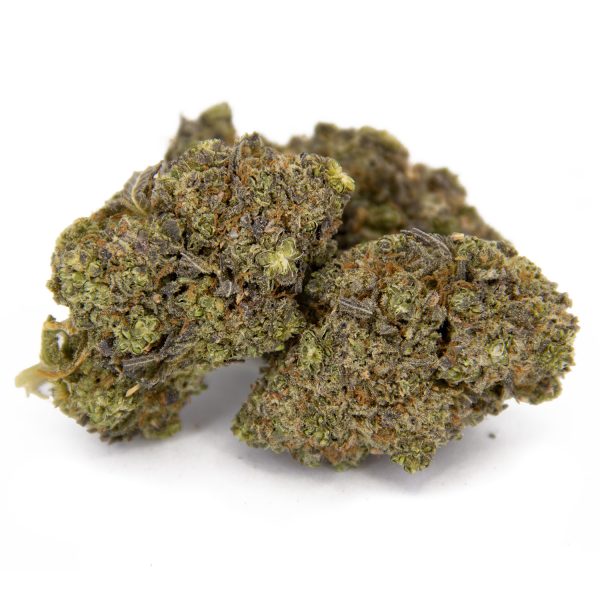 Zookies AA