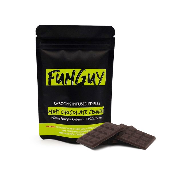 FunGuy - Mint Chocolate Crunch 1000mg