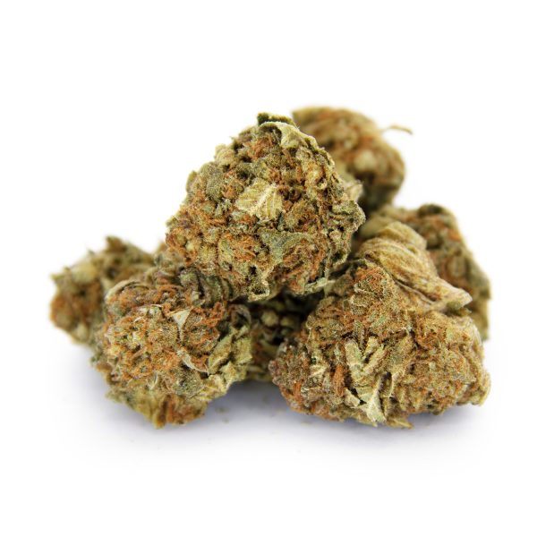Alien Dawg (Medium) AA