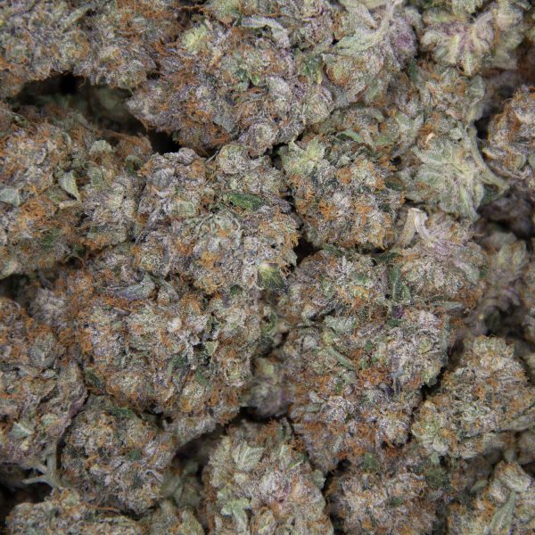 Blackberry Cream AAAA - Image 3