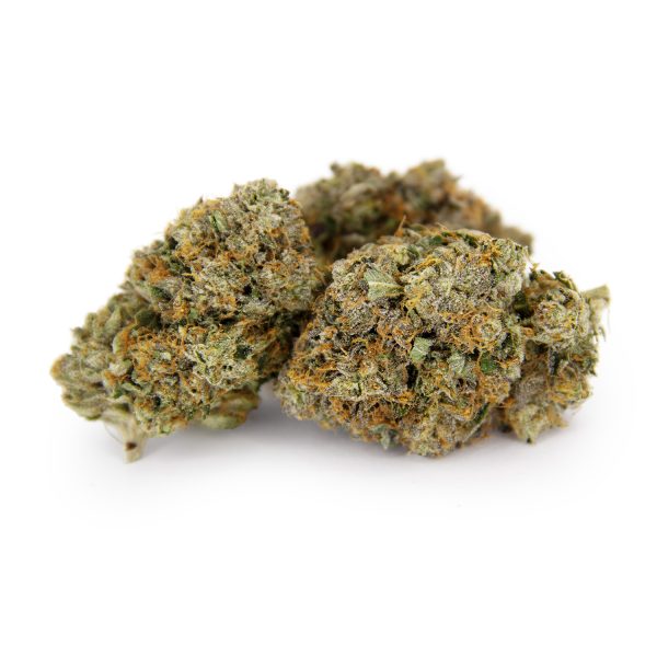 Blackberry Cream AAAA