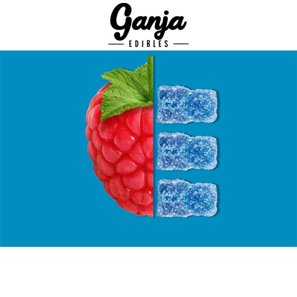 Ganja - Sour Gummy Bears 150mg THC - Blue Raspberry