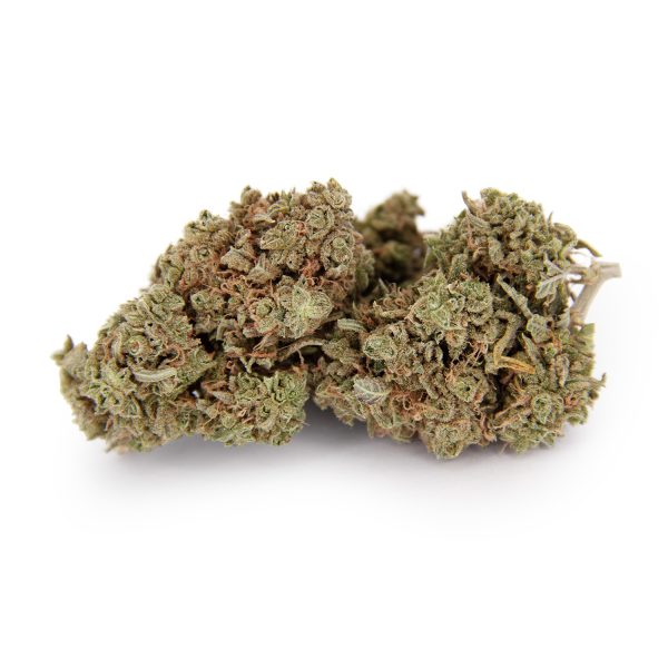 Larry OG AA