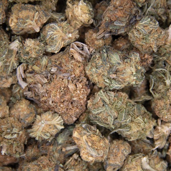 Tuna Kush AA - Image 3