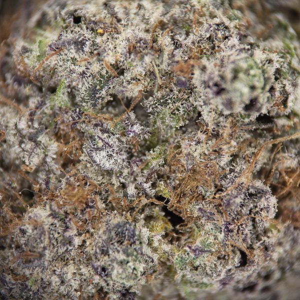 Double Berry AAAA+/Craft - Image 2