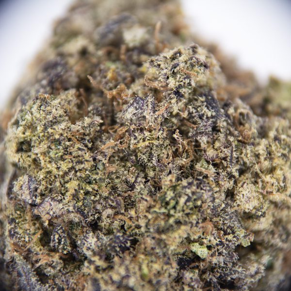 Huckleberry AAAA - Image 2