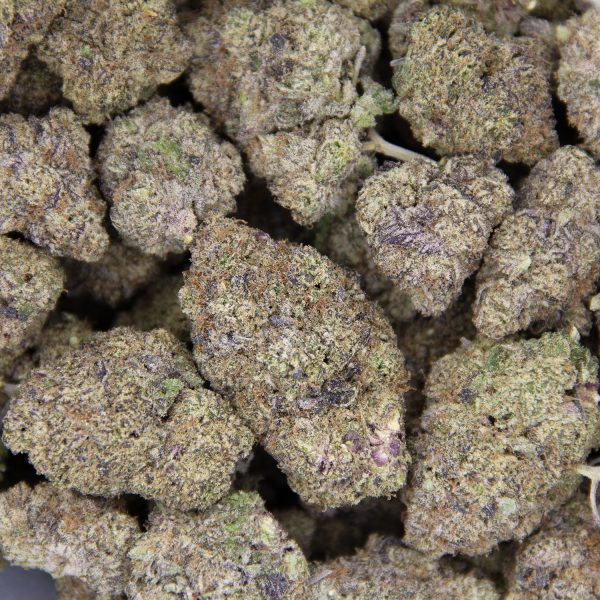 Huckleberry AAAA - Image 3