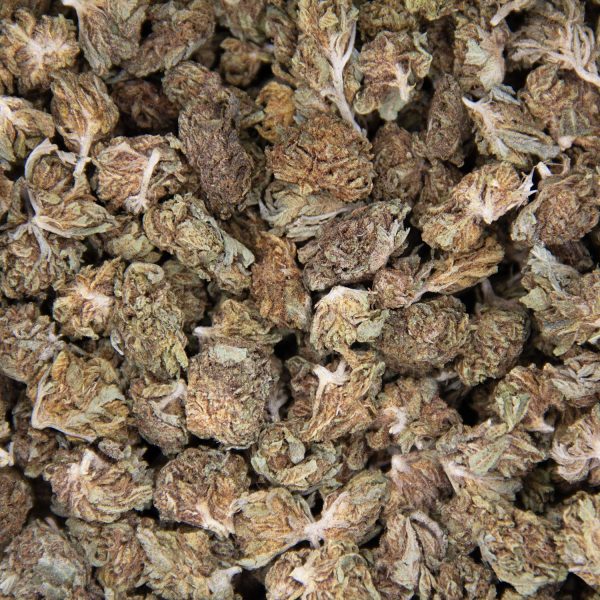 K1 (Popcorn) AA- - Image 3