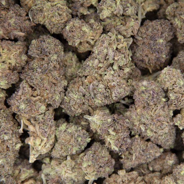 Purple Durban Poison AA - Image 3