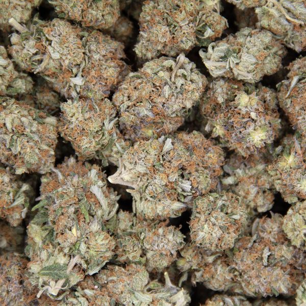 Gorilla Glue #4 AAA - Image 3