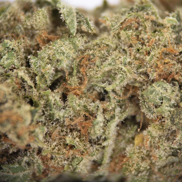 Haze Berry AA+ - Image 2