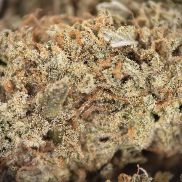 Sunset Sherbert AAA - Image 2
