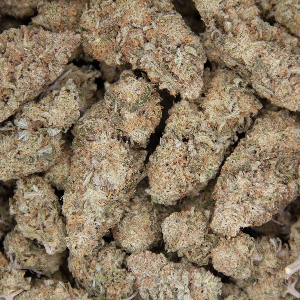 Sunset Sherbert AAA - Image 3