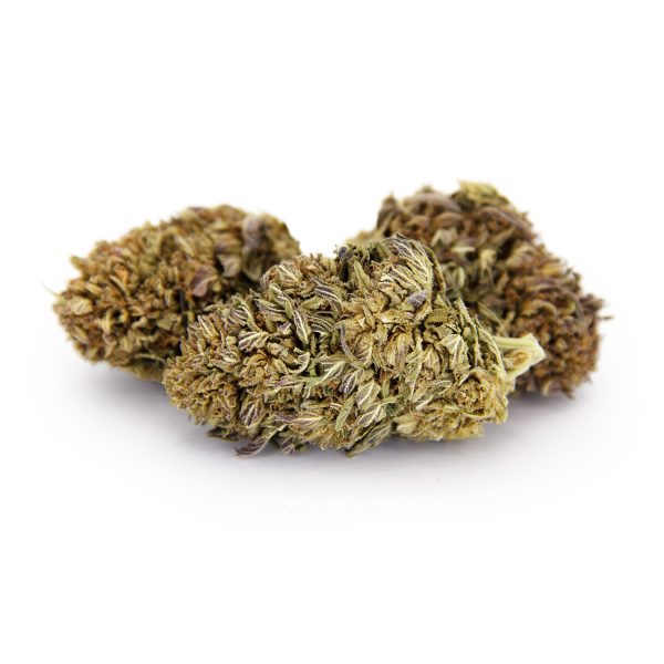 Sweet Purple AA-