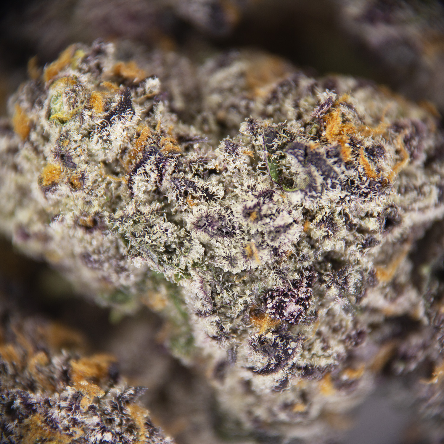 Bubblegum Marker (mediums) AAAA - Image 2