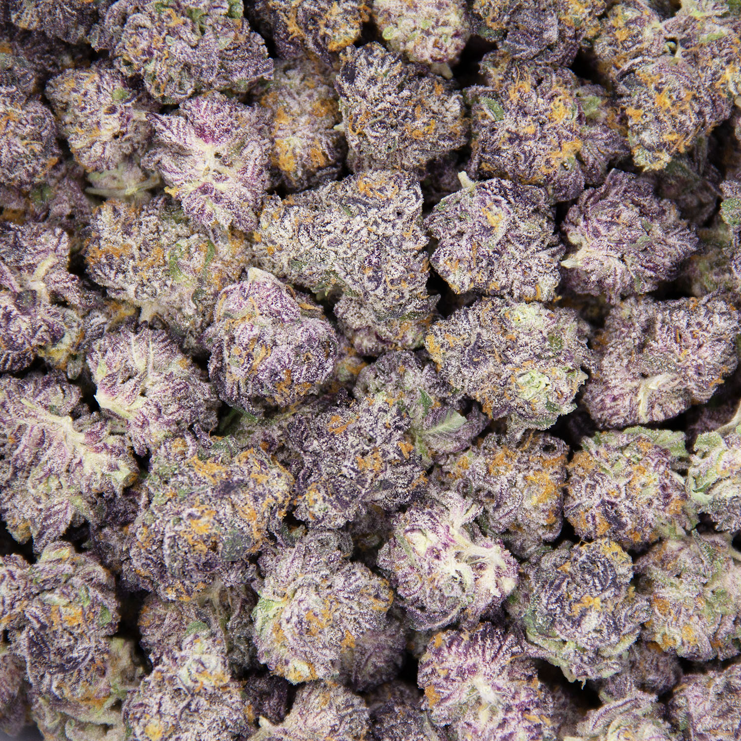 Bubblegum Marker (mediums) AAAA - Image 3