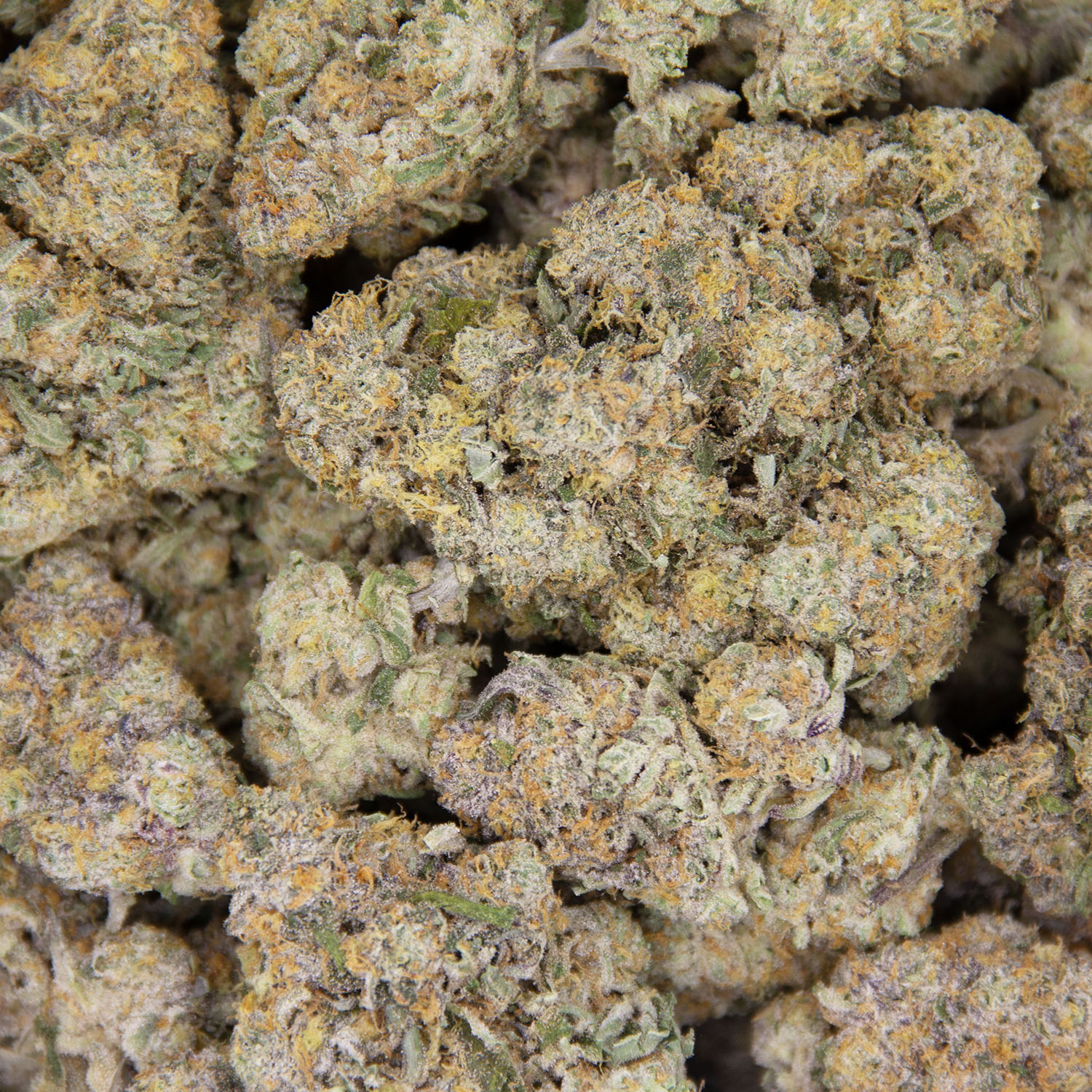 Cake Bomb AAA+ - Image 3