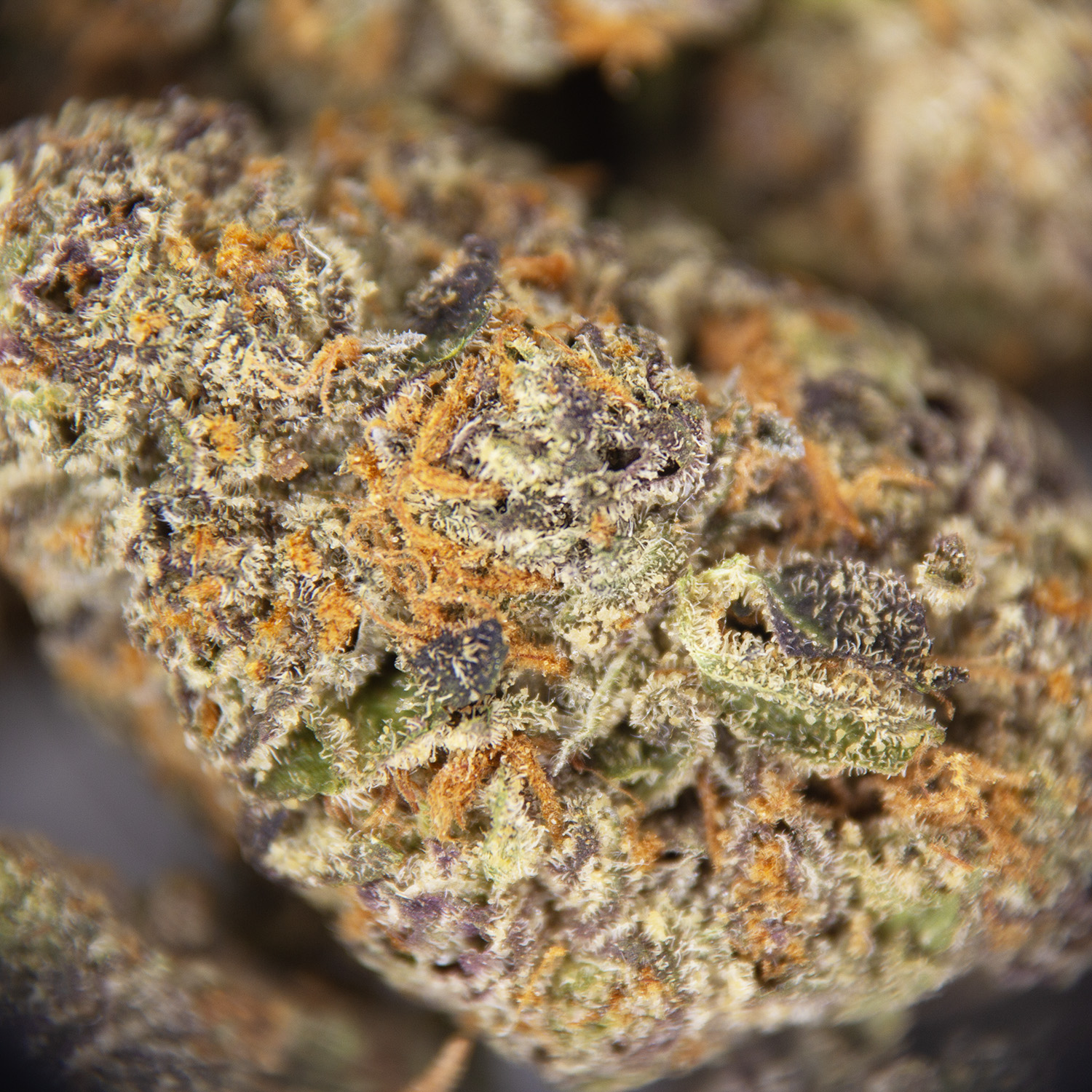 Cherry Punch (smalls) AAA - Image 2