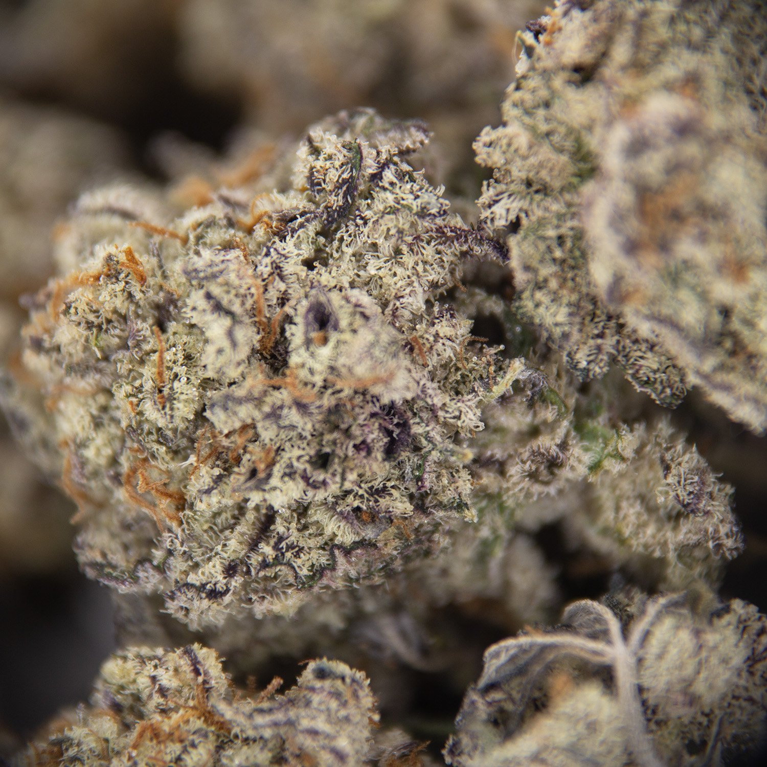 Cookies N Cream (smalls) AAA - Image 2