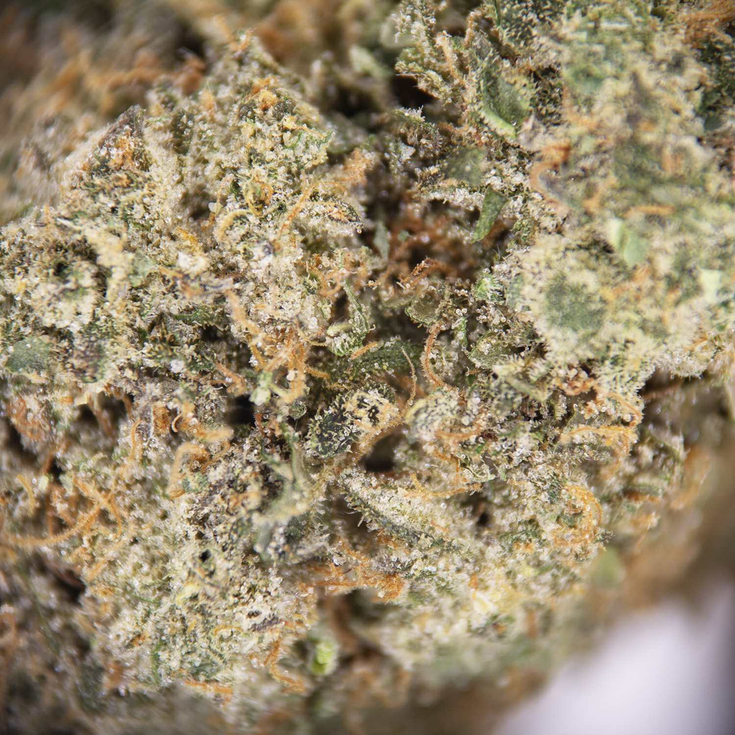 Mojito AAA - Image 2