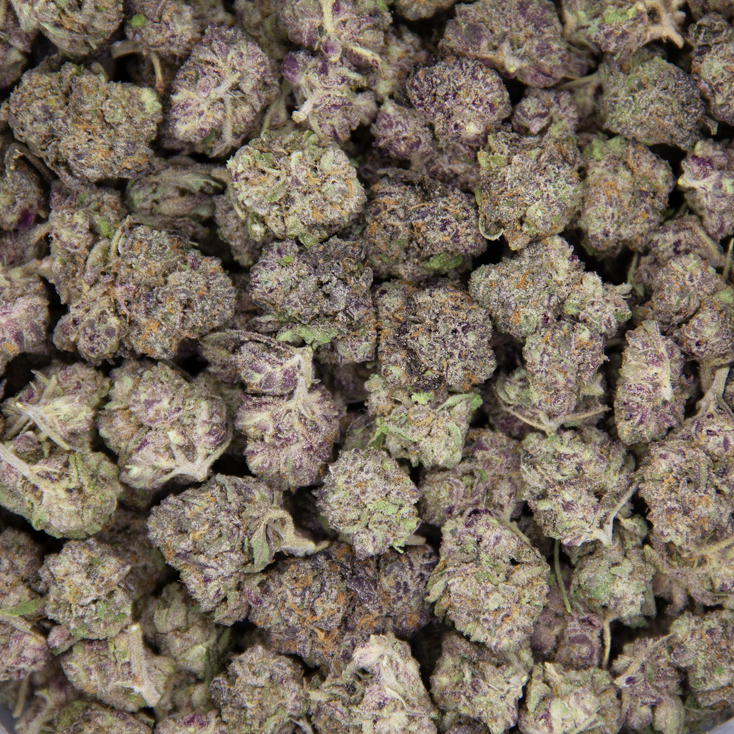 Double OG (smalls) AAA - Image 3