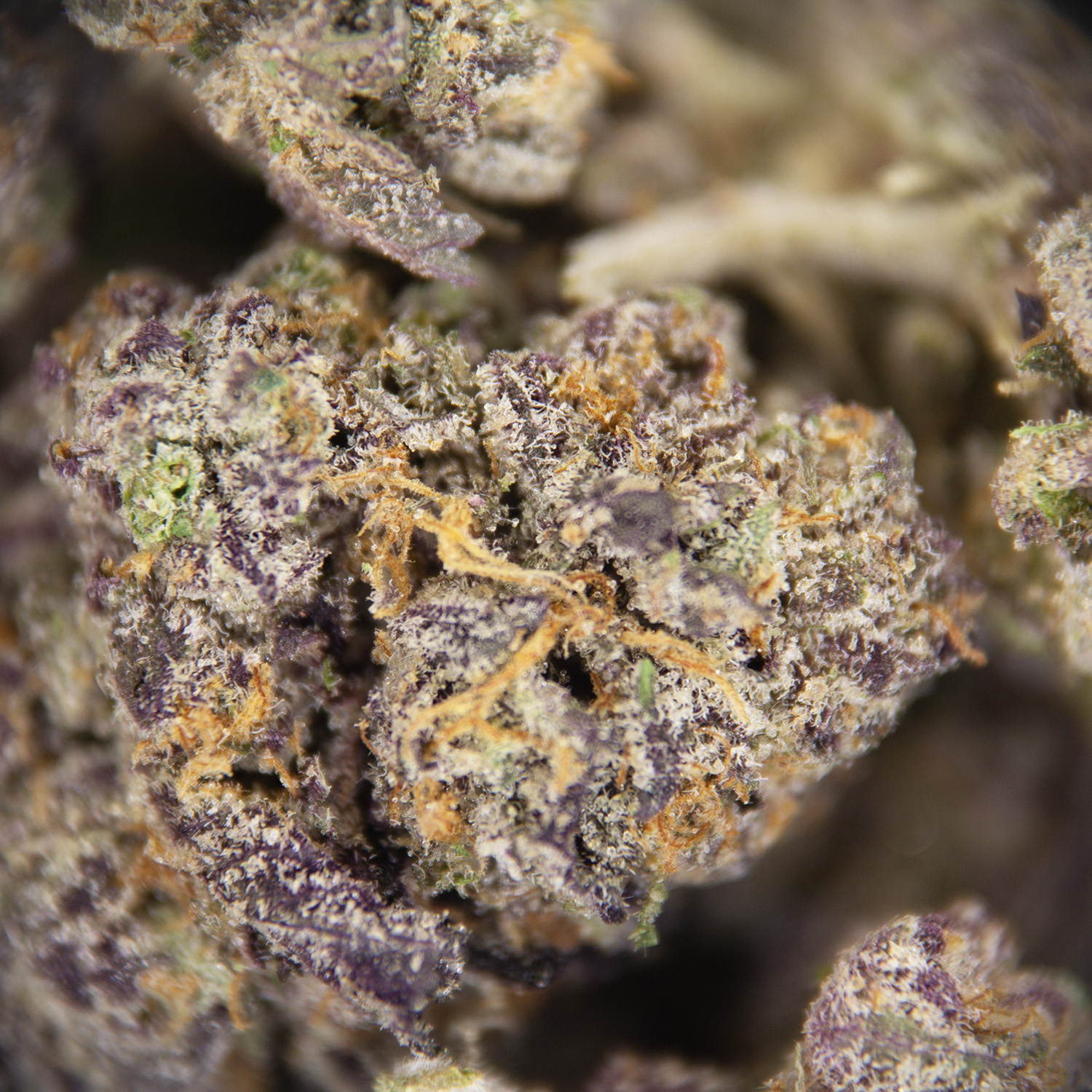 Double OG (smalls) AAA - Image 2