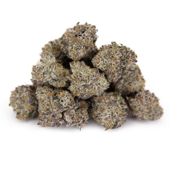 Champagne Showers (mediums) AAAA