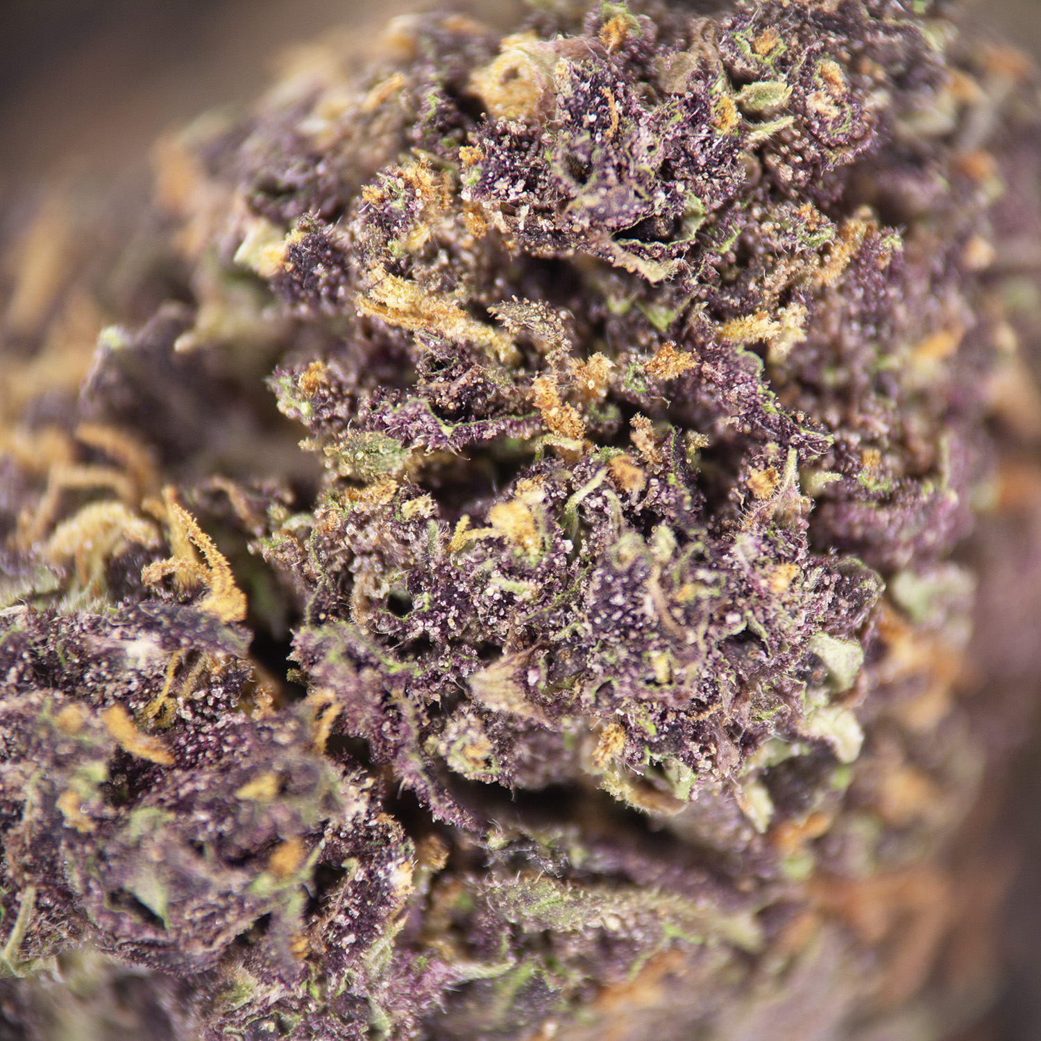 Forbidden Fruit (mediums) AA - Image 2